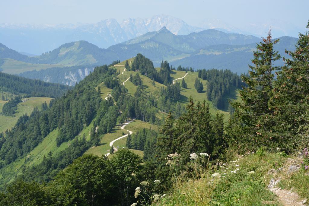 Appart Weisse Urlauben am Wolfgangsee Sankt Gilgen Bagian luar foto